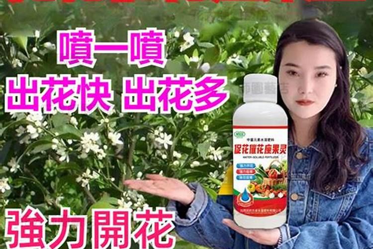 催花用什么肥料好,怎么施肥