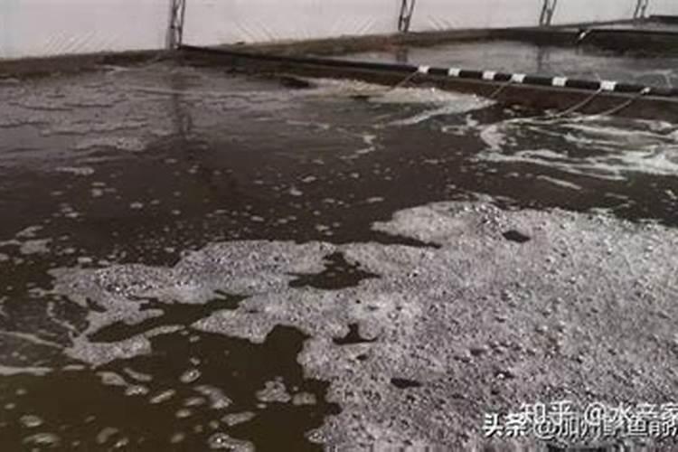 水产养殖亚硝酸盐高了怎么处理啊