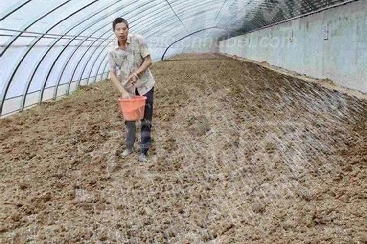 磷肥在土壤中保持多久肥效