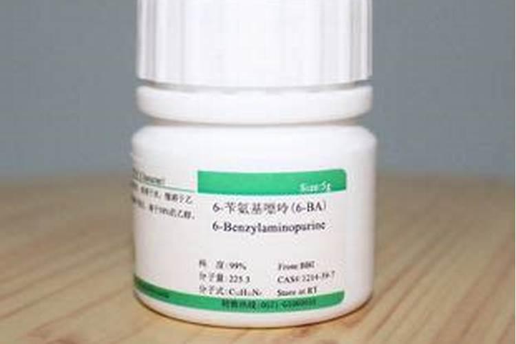 什么肥料可以让植物快速生长