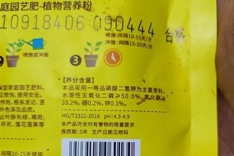 黄瓜多少天可以结瓜 挂果后多久能摘