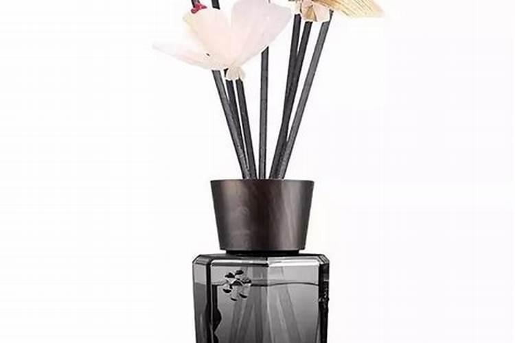 5种“除臭花”,建议在卫生间里养一盆,吸废气制氧气,好活养眼