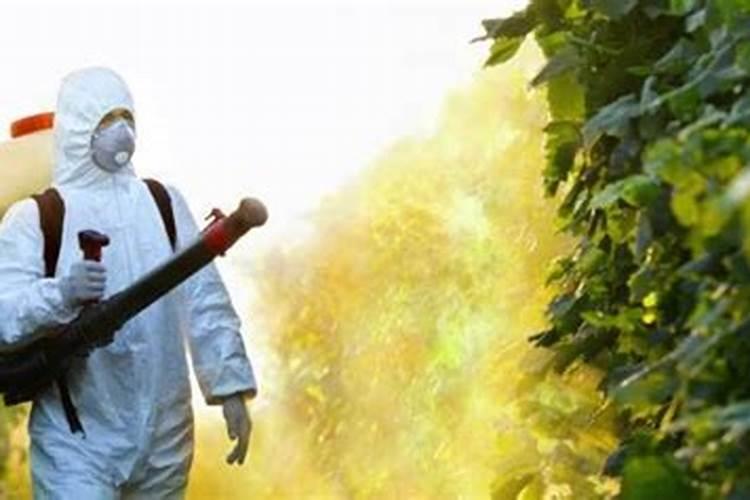 大蒜拌种最佳配方