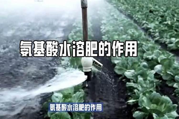 罗布泊全水溶硫酸钾受到农民欢迎的原因是什么？