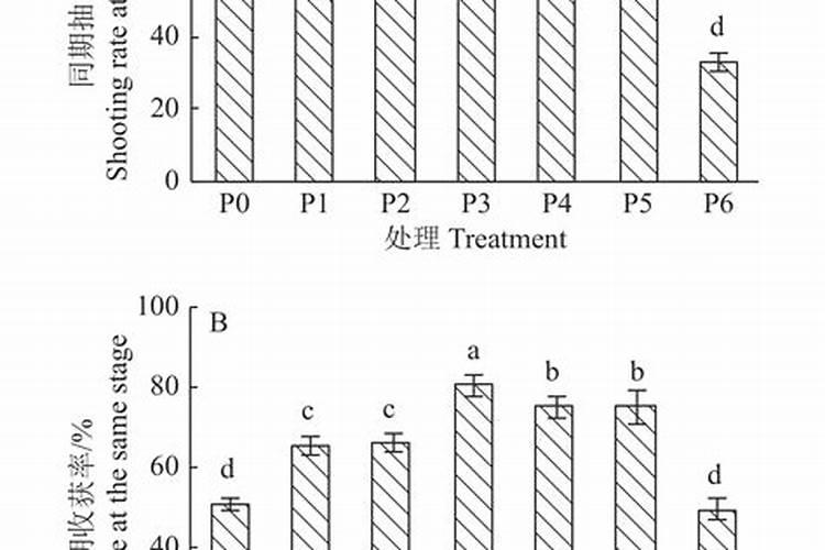 高产香蕉需要掌握的科学施肥技术有哪些