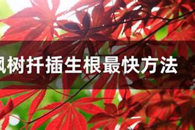 污水处理中常见的生化处理工艺