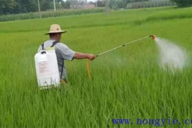 叶面肥的具体配方是怎样的