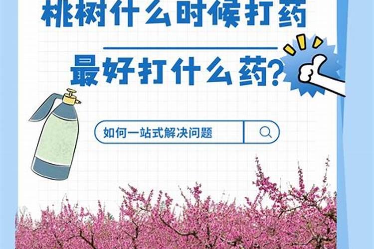 桃树六月份打什么药