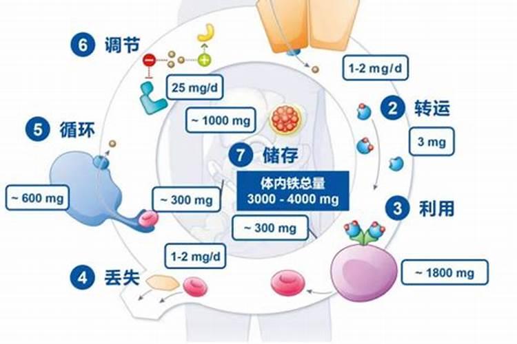 中微量元素肥料有哪些
