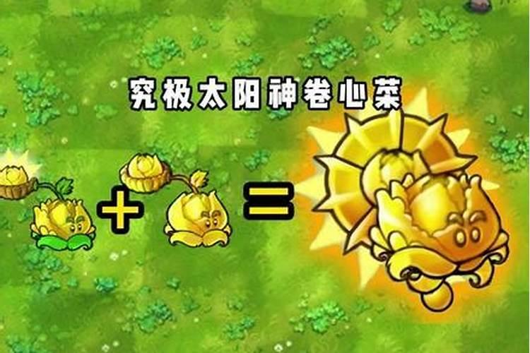 青叶太阳神养护知识