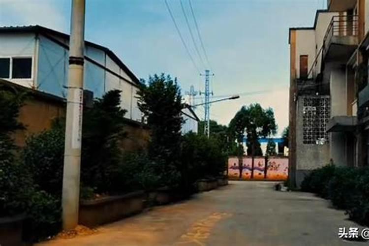 中国最大的复合肥企业前20家有哪些？