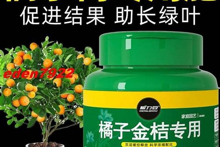 水溶肥果树灌根正确方法