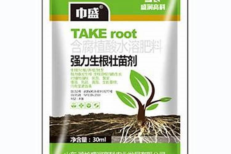 生根壮苗用什么肥料最好