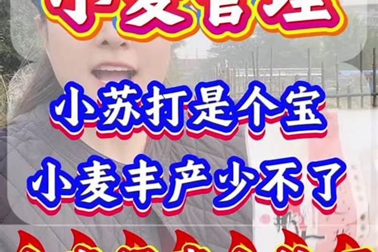 种麦子最忌三种肥料