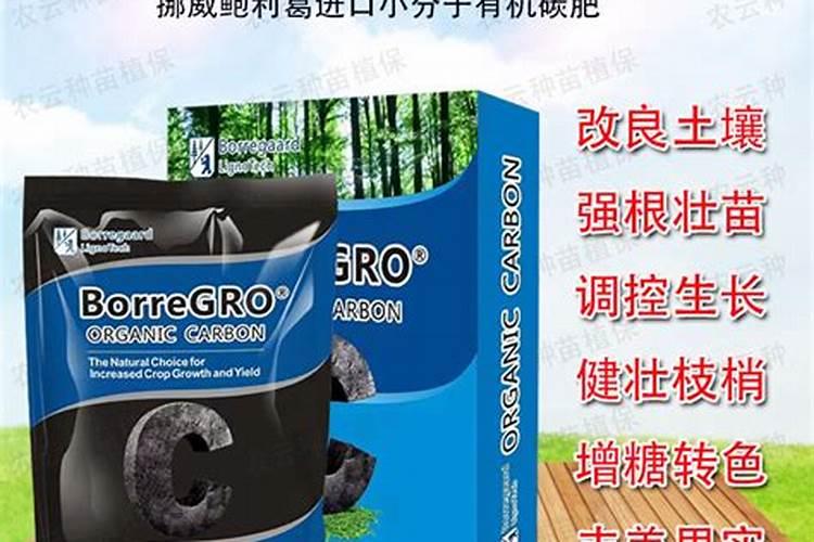 南天竹移栽后怎样看成活