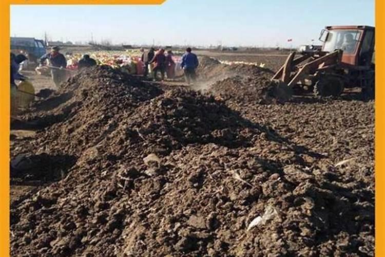 一亩地用多少硼肥 如何正确施硼肥