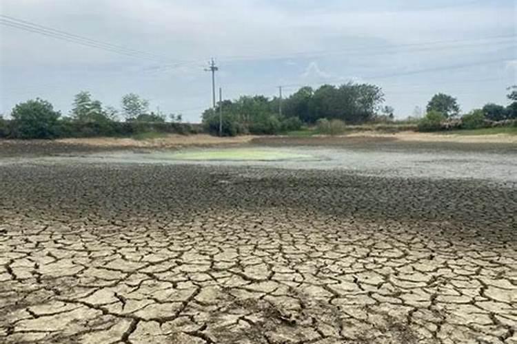 旱地小麦施肥时氮磷钾肥应如何配合施用？
