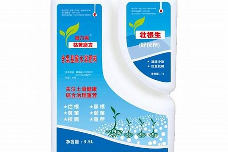 脐橙什么时候留秋梢