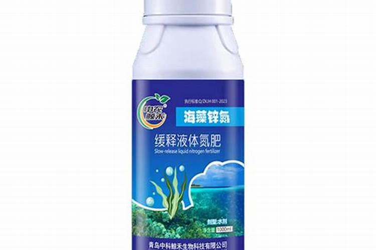 江西赣州脐橙8月1号出的新梢是秋梢吗