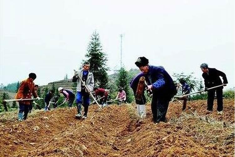 种花生底肥的正确方法