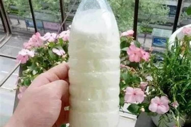 发酵肥料怎么做