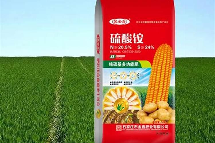 凤凰树叶子在三月份全部枯萎怎么回事