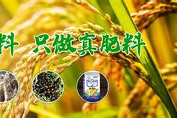 中国农资电商平台排名,农资电商平台哪家强？