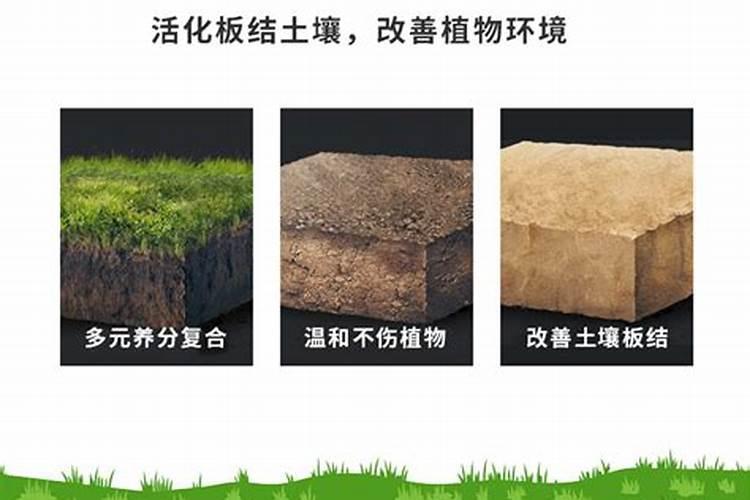 土壤怎么改良？矿源黄腐酸钾有效吗？