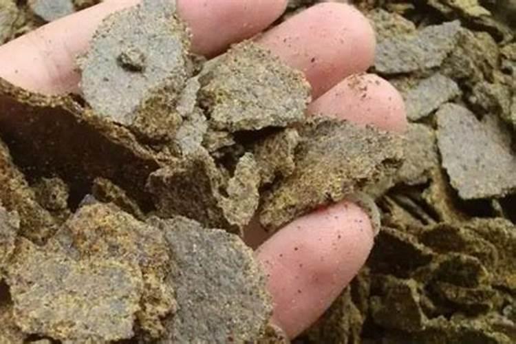 花生麸如何发酵？