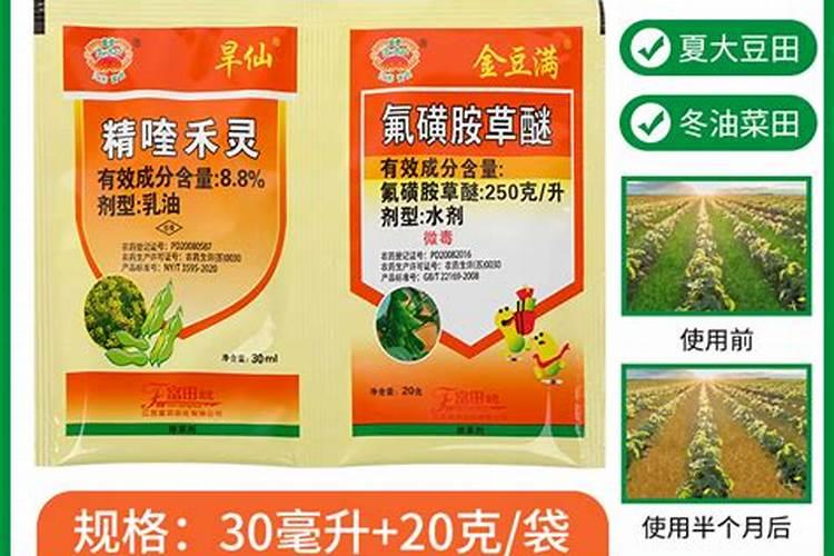 大豆叶面肥哪种好