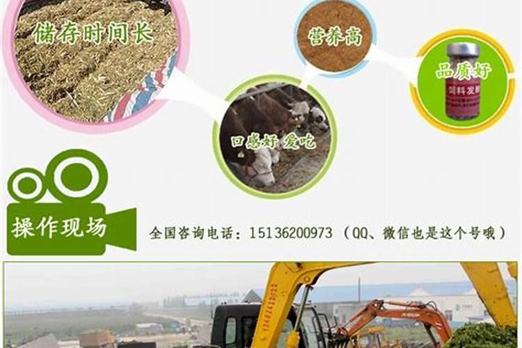 玉米秸秆可以做纸吗 增加土壤肥力