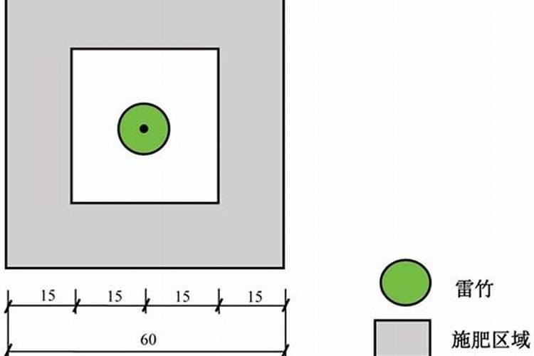 玉米高产追肥用什么叶面肥合适？什么时候用好