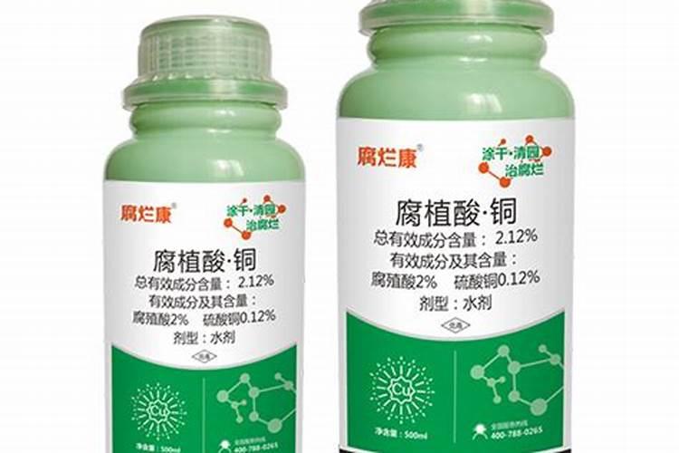 梨树腐烂病该怎么防治