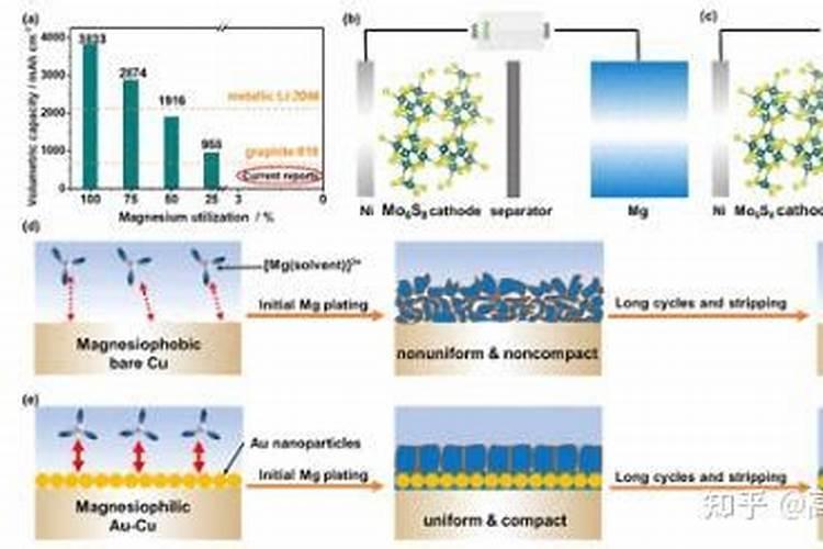如何分析哪种土壤的镁营养有效度高？