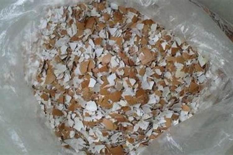 鸡蛋壳怎么做肥料