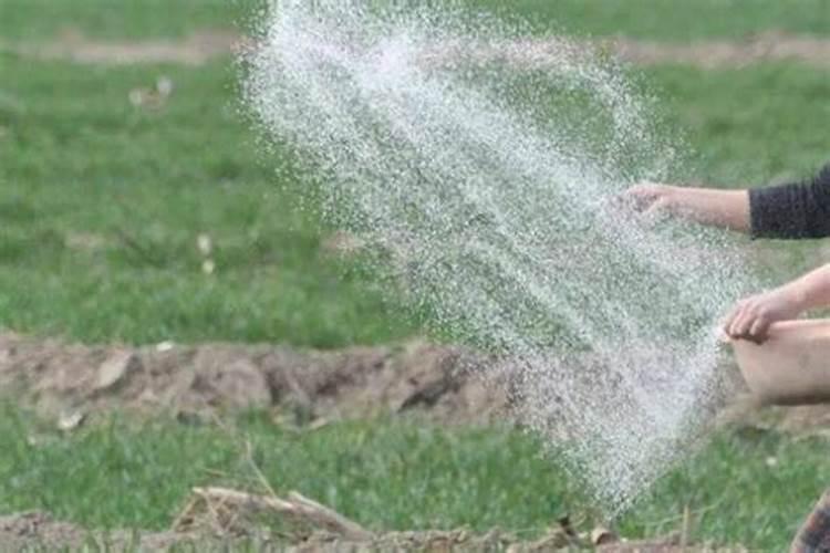 如何给农作物科学施用锌肥