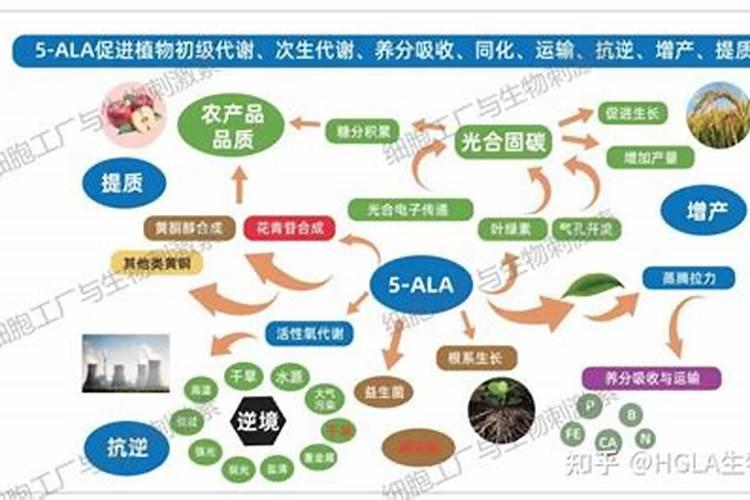 世界上十大名牌肥料排名