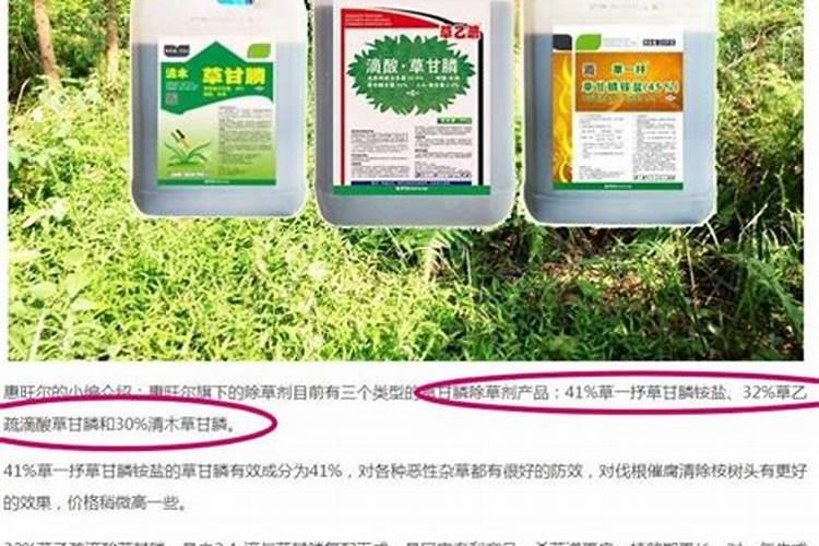 黑能量氨基酸水溶肥解除草剂吗