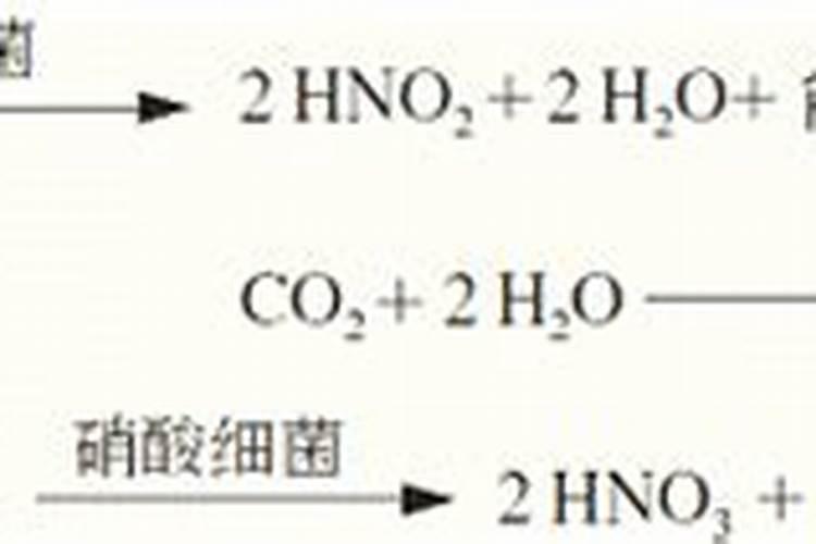有什么蛋白质含量高的鱼类？