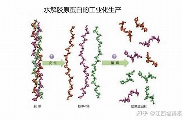 怎么区分鱼筋和寄生虫