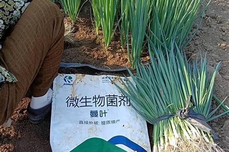 水溶肥自己可以配吗