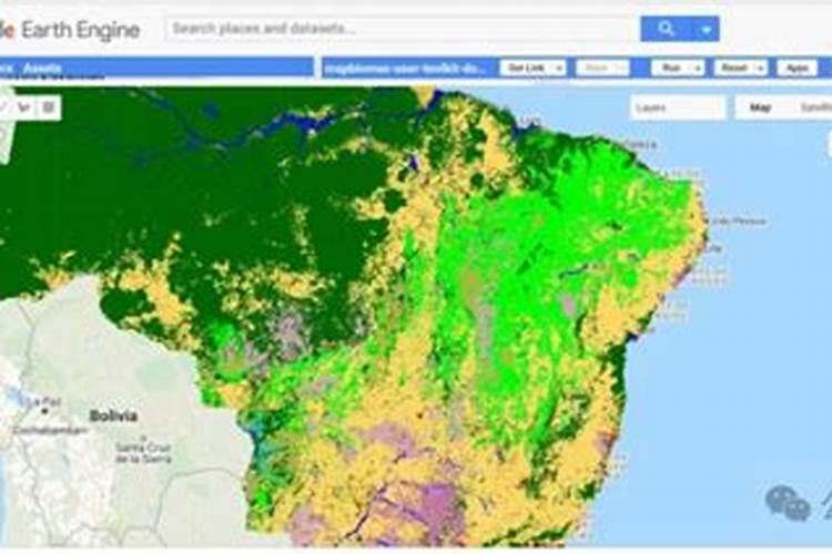 用大豆怎么养绿萝 大豆氮肥的制作方法