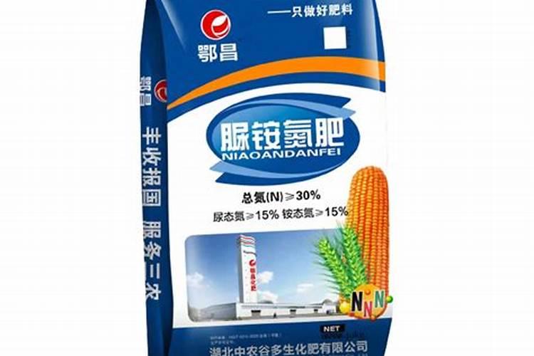 绣球花几月施肥