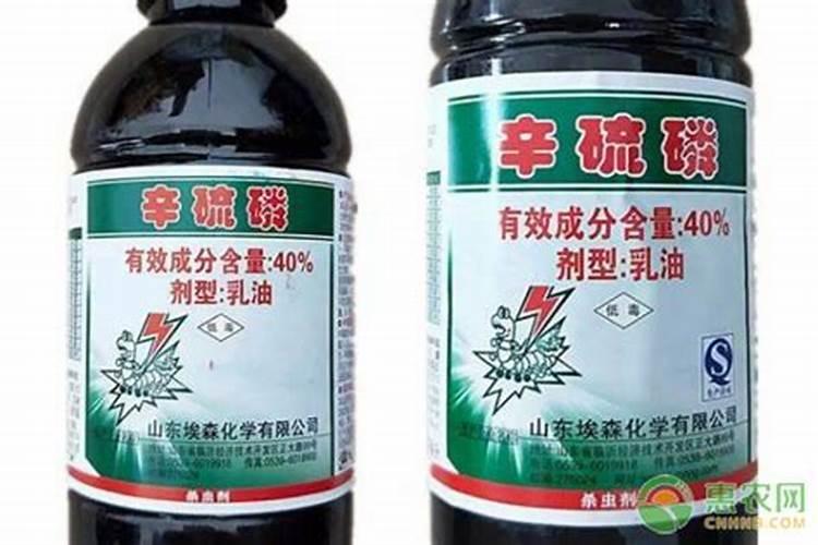 在香蕉各个生长阶段,用药施肥应注意什么？