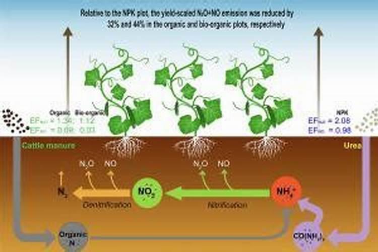 植物的微量元素是如何产生的