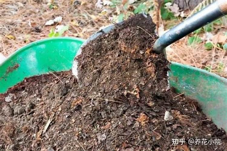 种花用什么土最好