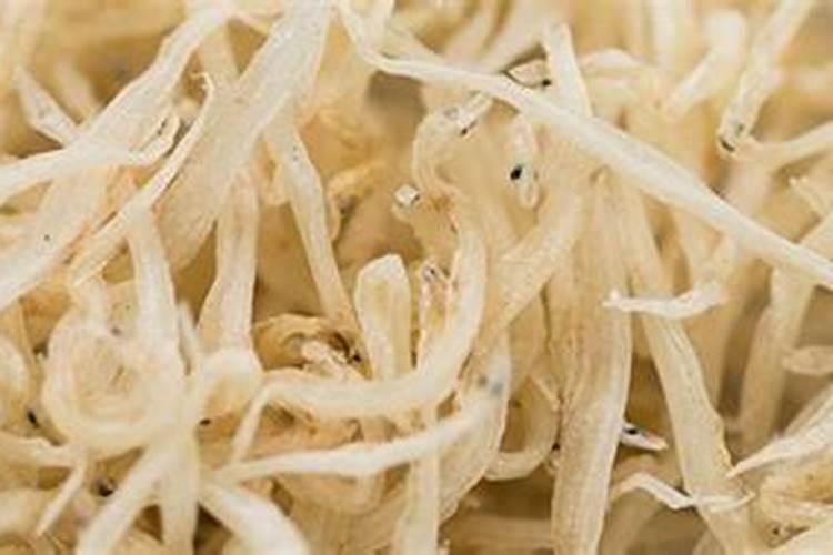 肥鱼肚子里一大坨白色的是