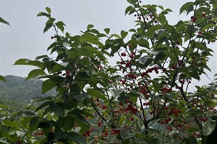 挤压大颗粒氮肥要生产证吗？