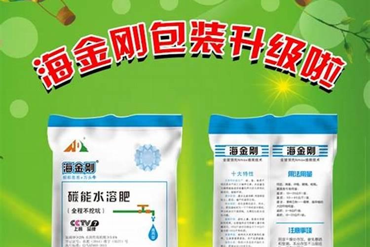 盆栽桔子树叶子发黄怎么办