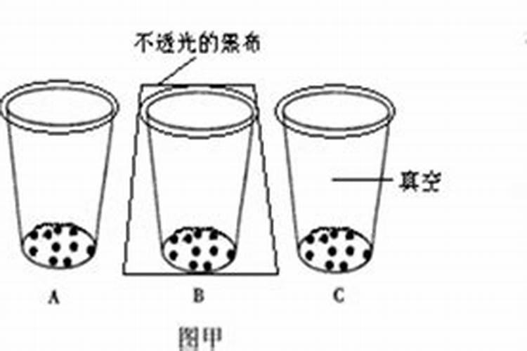 大豆是如何利用氮气制造氮肥的